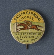 New South Wales charity racing badge. Collection of Mandy B.