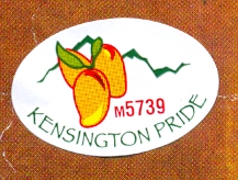 'Kensington Pride', 1.5 x 2.5 cm, 2015. Collection of Mandy B.