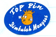 'Top Pin', Dimbuluh Mangoes, 1.5 x 2.5 cm, 2015. Collection of Mandy B.