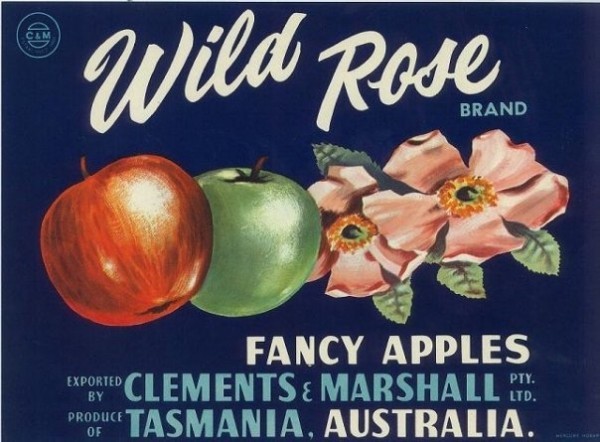 Wild Roses; fancy apples from Clements & Marshall, 19 x 26 cm and date unknown.