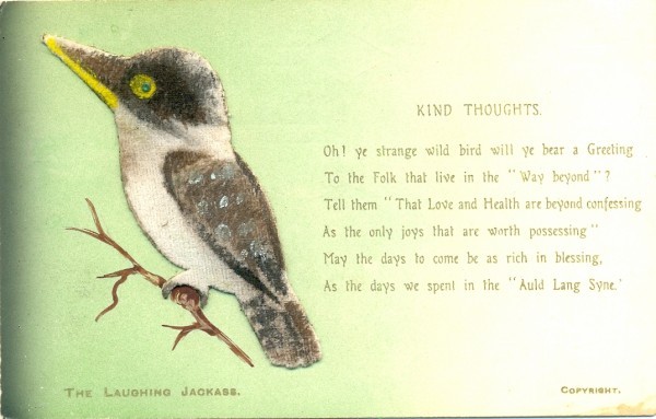 Laughing Jackass, postcard, printed in England, after 1905 postcard. Appliqued fabric + beady eye. Collection of ESA member EP.