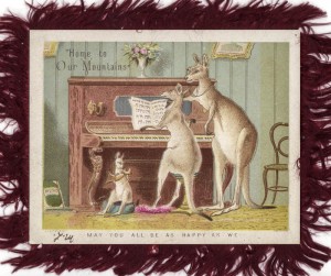 early australian christmas card with kangaroos